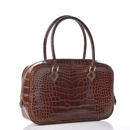 Hermes Shiny Alligator Plume Elan 22 Miel 3 of 8