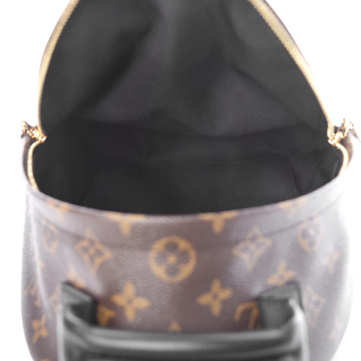 Reverse Monogram Palm Springs Backpack PM