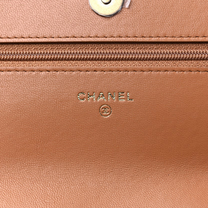 Chanel Lambskin Quilted Chanel 19 Wallet On Chain WOC Brown 6 of 11