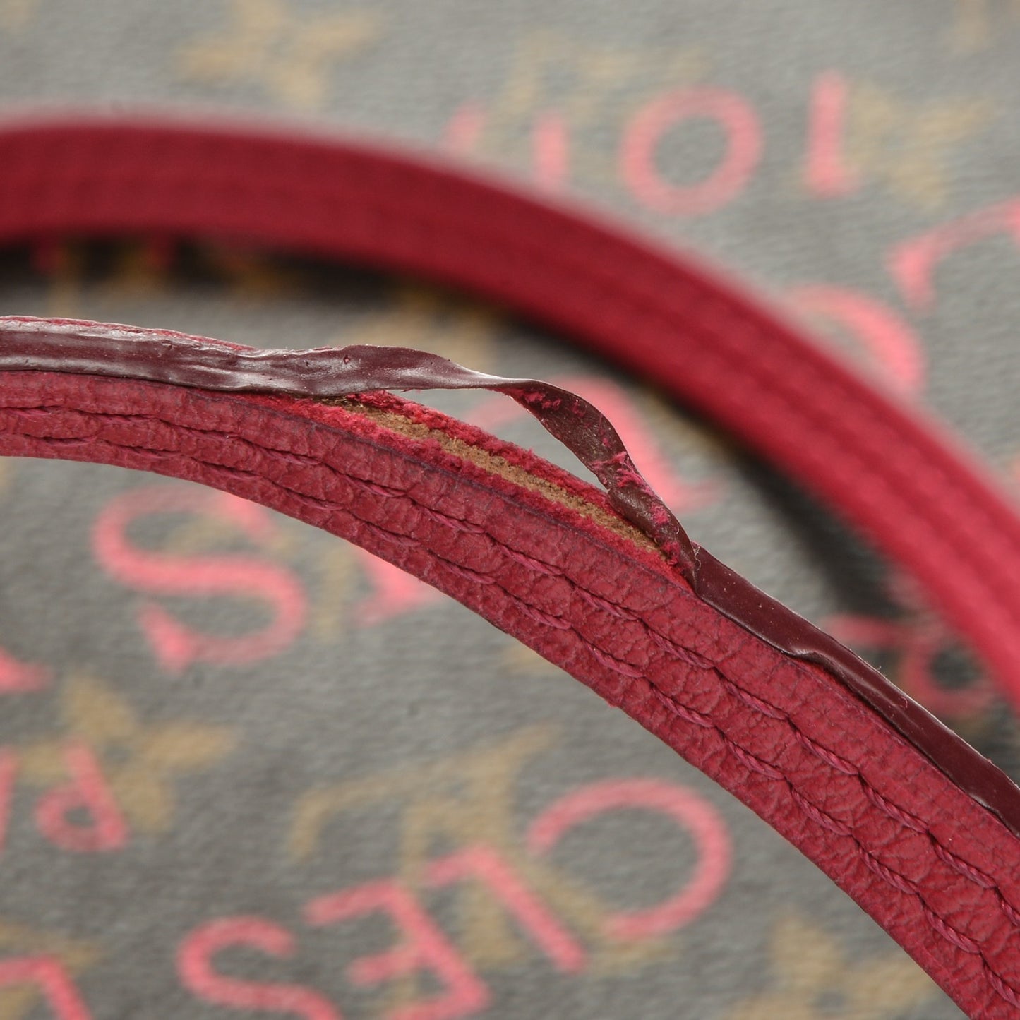 Monogram Articles de Voyage Ikat Neverfull MM Rose Indien