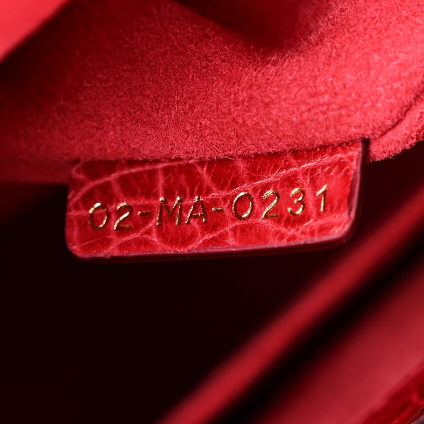 Alligator Gradient Medium Lady Dior Red