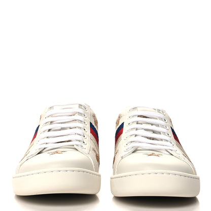 Gucci Calfskin Bee Star Embroidered Sylvie Web Ace Sneakers 35.5 White 3 of 10