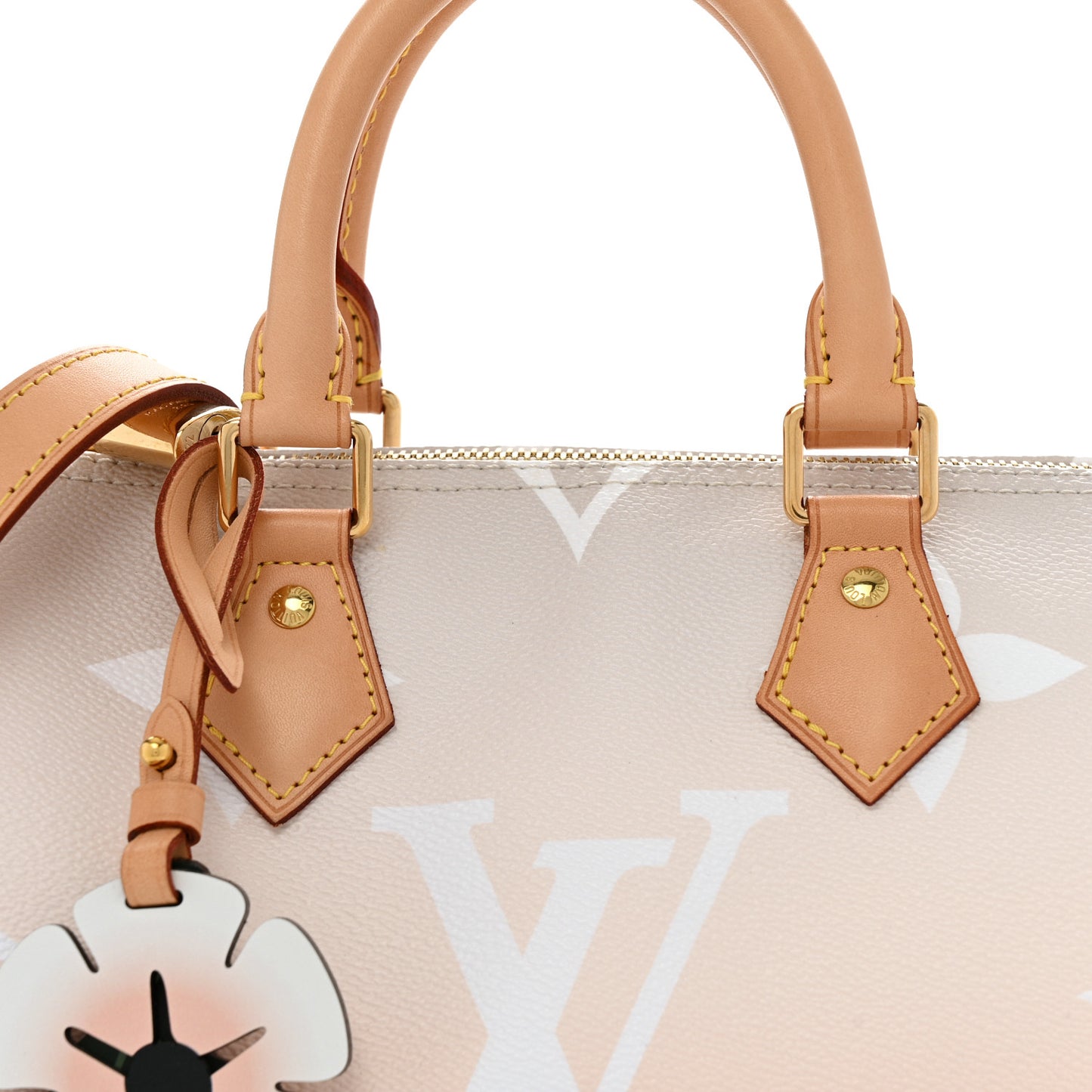 Monogram Giant By The Pool Speedy Bandouliere 25 Brume