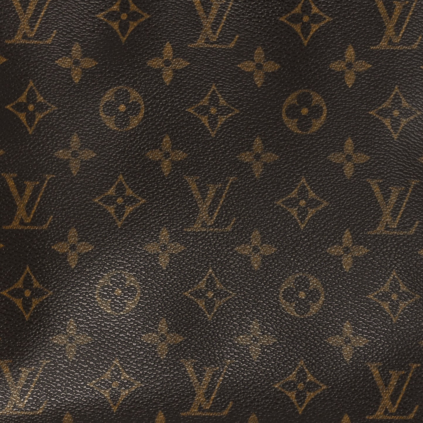 Monogram Looping MM