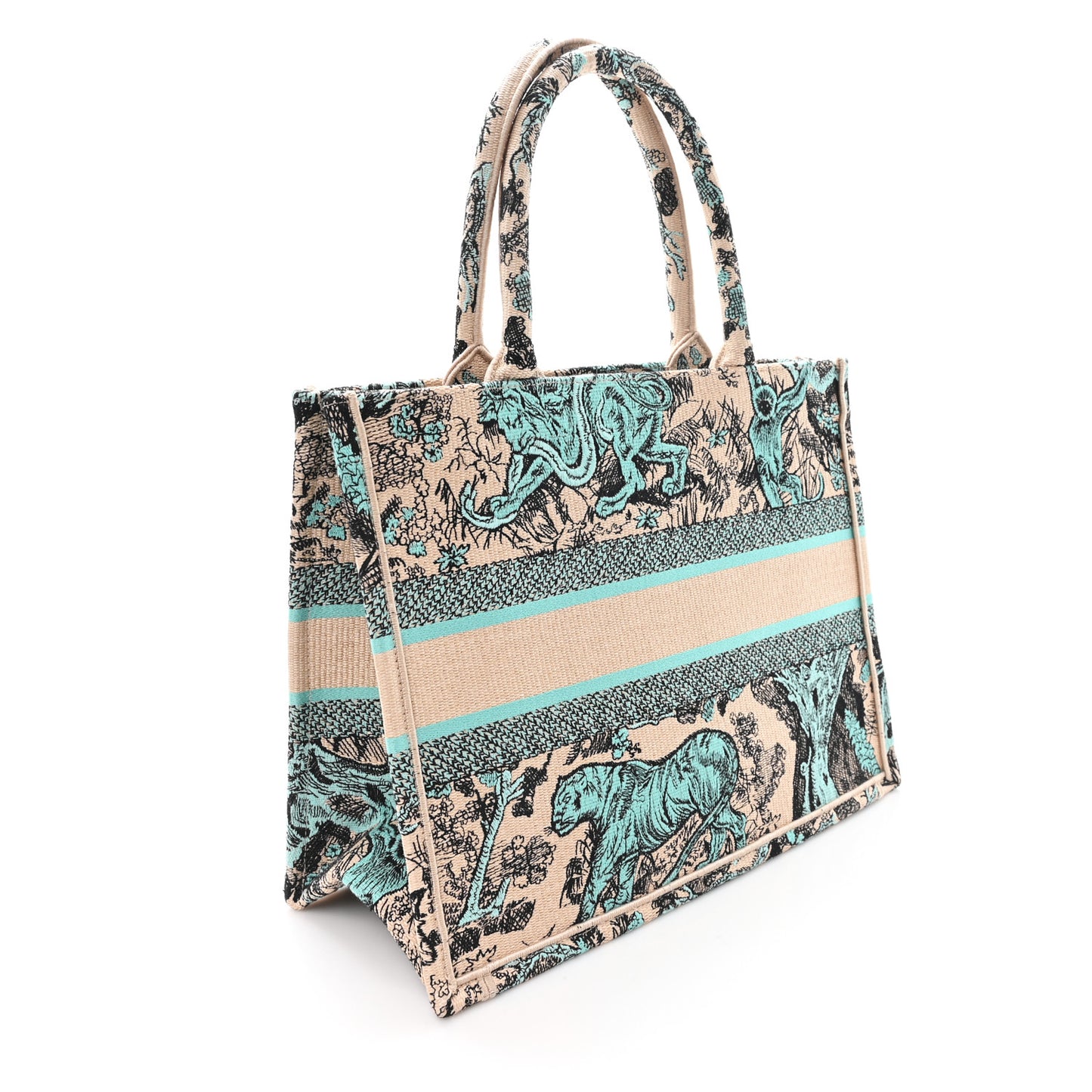 Raffia Embroidered Dioriviera Medium Book Tote Aquamarina