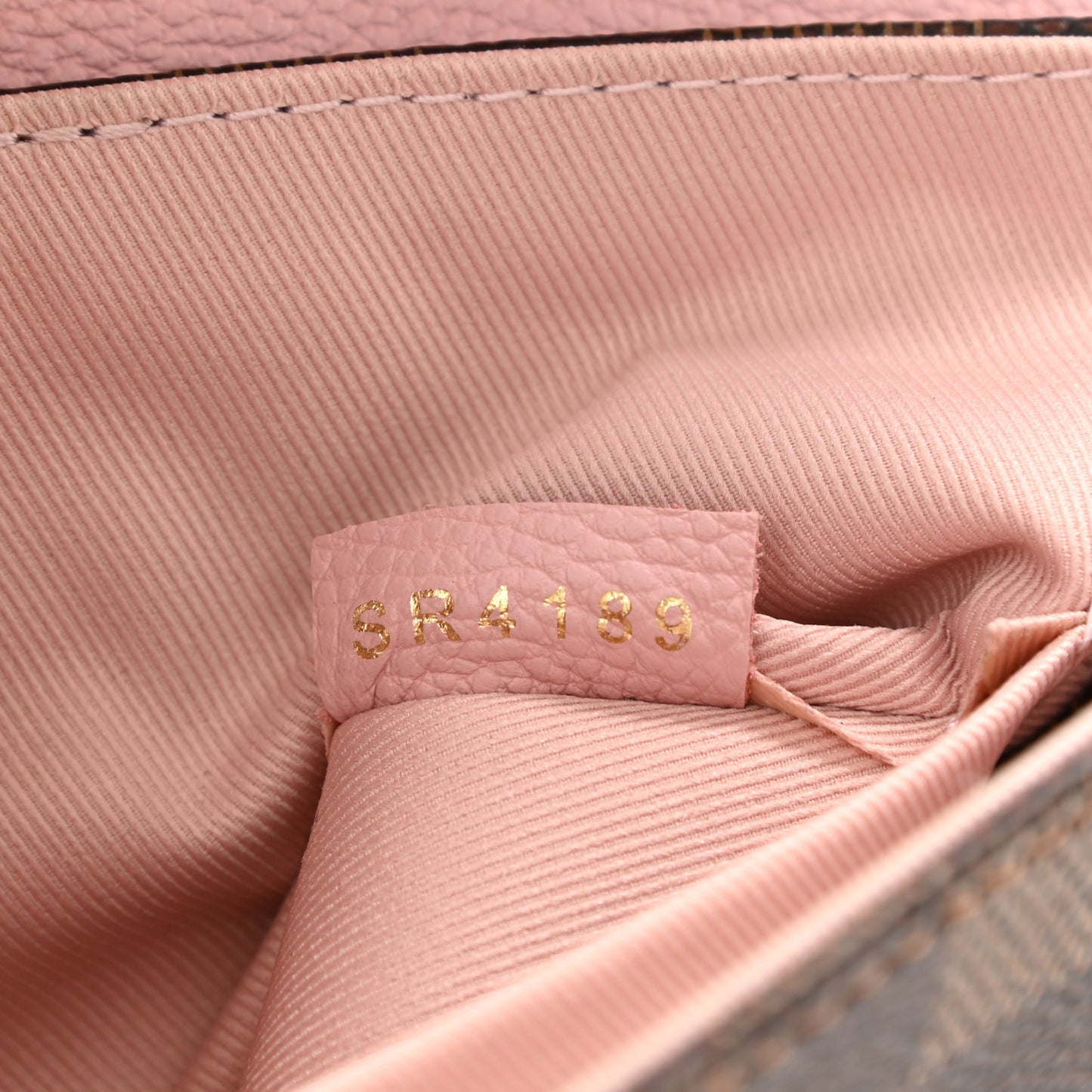 Damier Ebene Clapton Backpack Magnolia