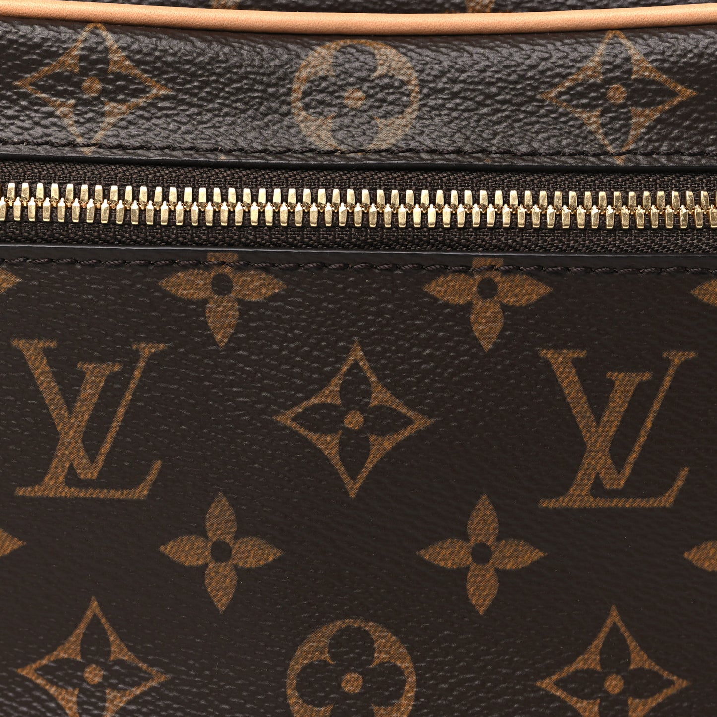 Monogram Nice Mini