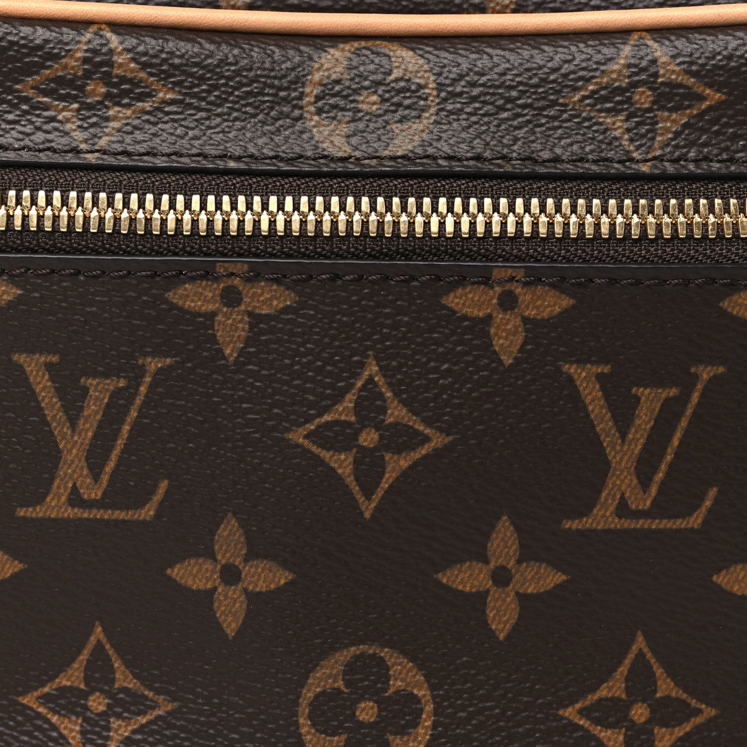 Louis Vuitton Monogram Nice Mini 7 of 9