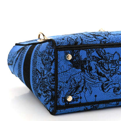 Christian Dior Canvas Toile de Jouy Zodiac Embroidered Medium Lady D-Lite Blue 8 of 9