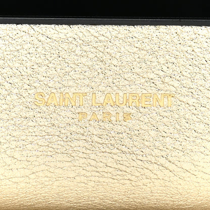 Saint Laurent Metallic Calfskin Paris Airpods Pro Holder Platino Black 4 of 5