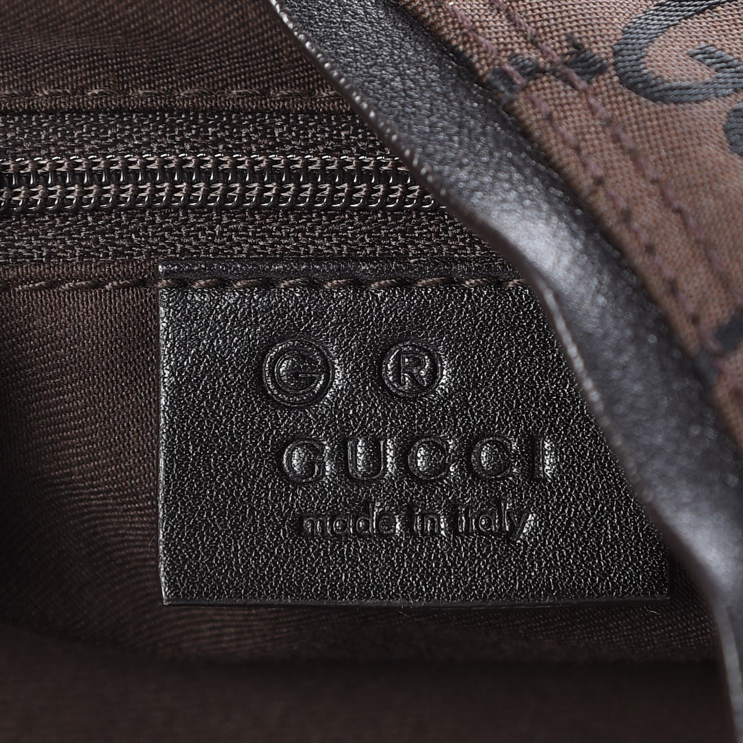 Nylon Monogram Small Hobo Brown