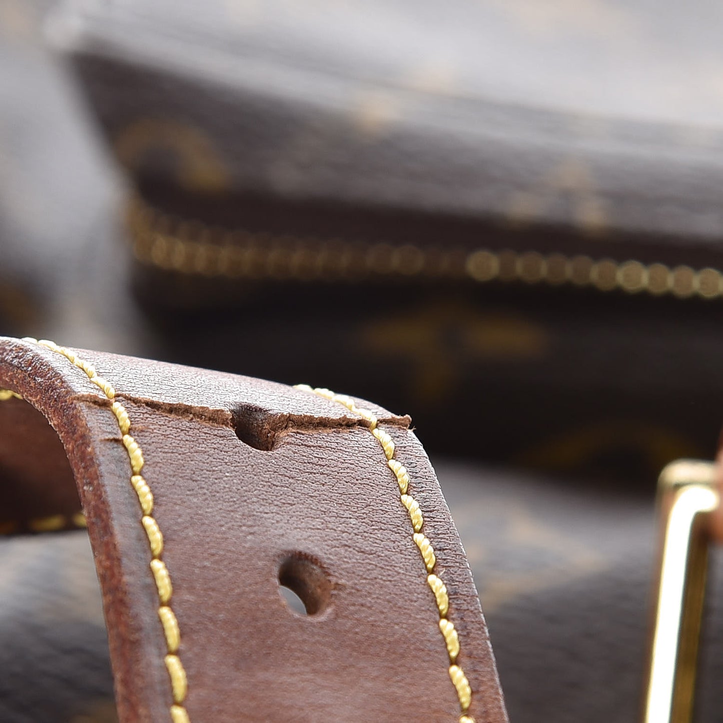 Monogram Montsouris GM Backpack