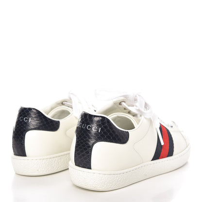 Gucci Calfskin Ayers Web Womens Ace Sneakers 35.5 White Blue 4 of 9