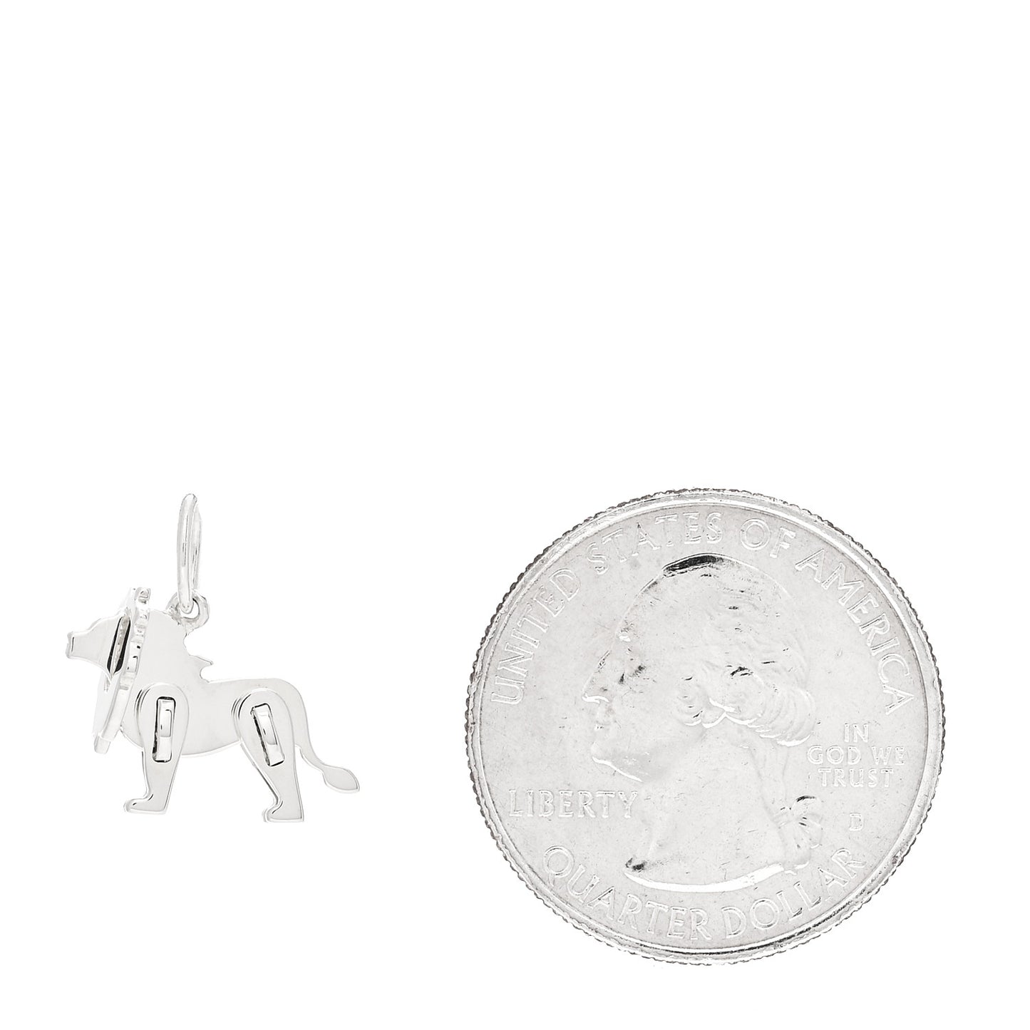 Sterling Silver Save The Wild Lion Charm