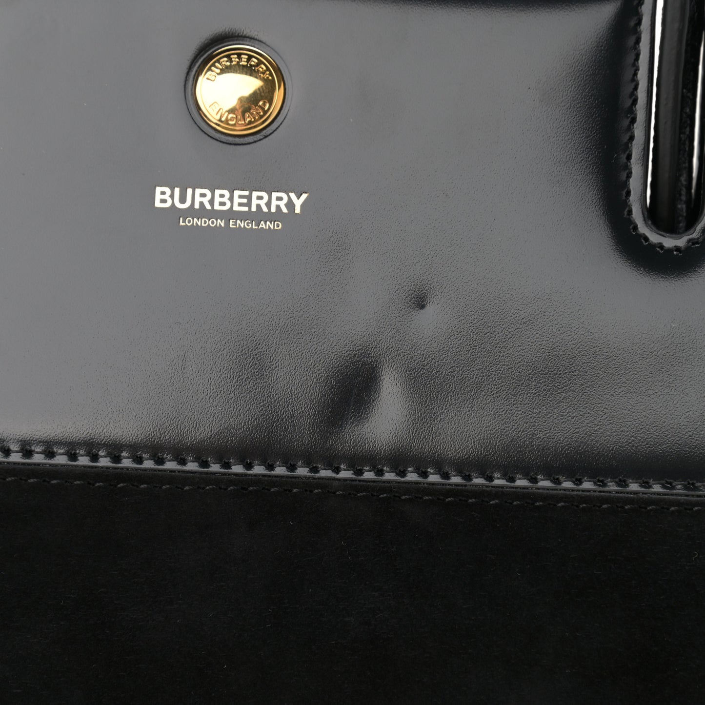 Deerskin Suede Lizard Embossed Calfskin Medium Title Bag Black