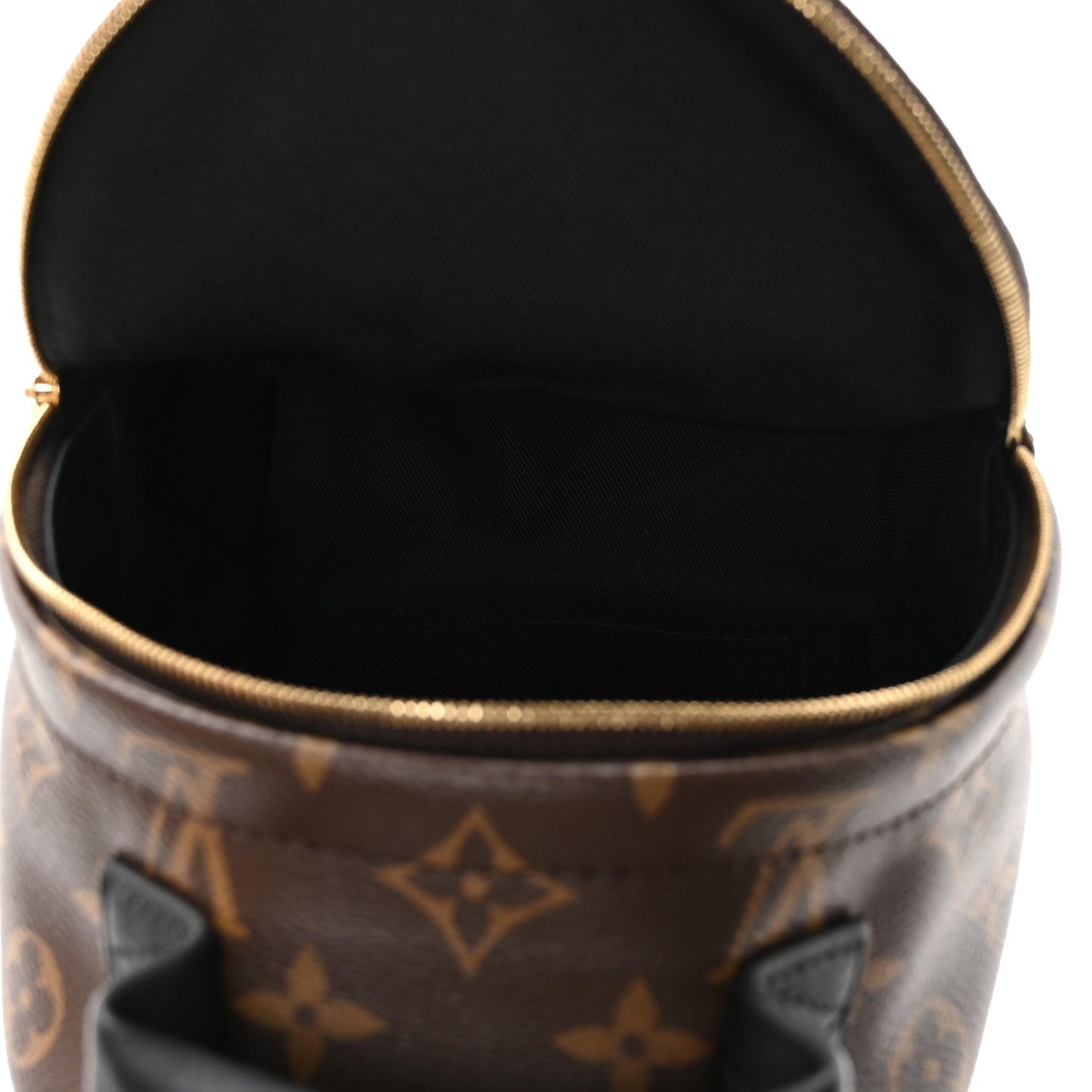 Monogram Palm Springs Backpack Mini