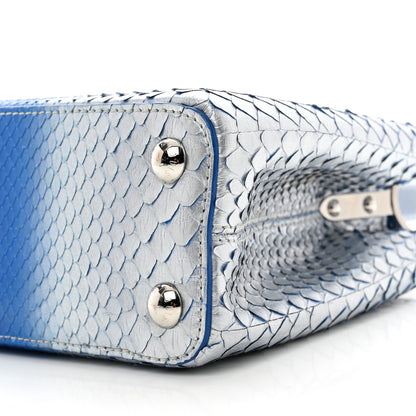 Louis Vuitton Metallic Snakeskin Bicolor Capucines BB Blue Silver 9 of 9