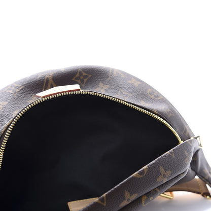 Louis Vuitton Monogram Bumbag 5 of 10