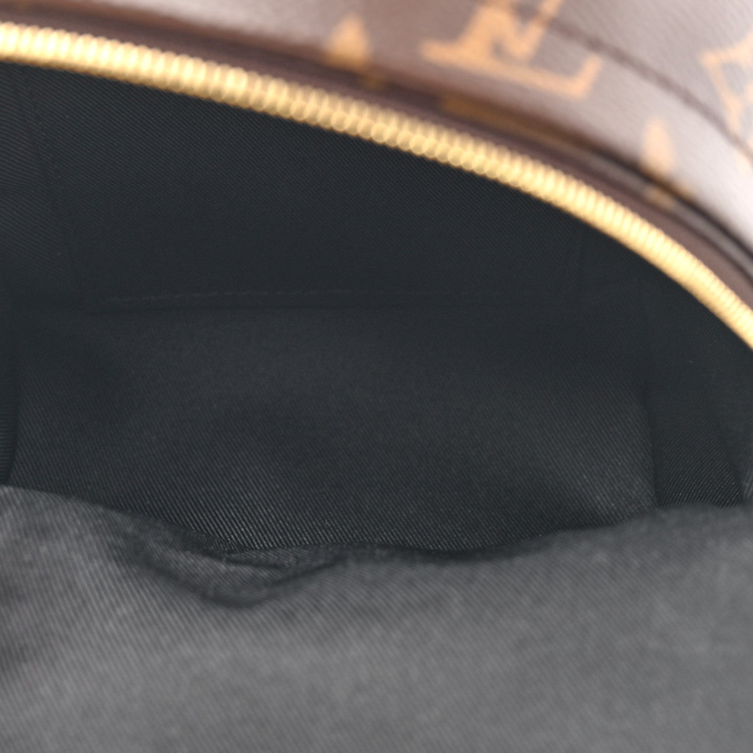 Louis Vuitton Monogram Palm Springs Backpack Mini 5 of 10