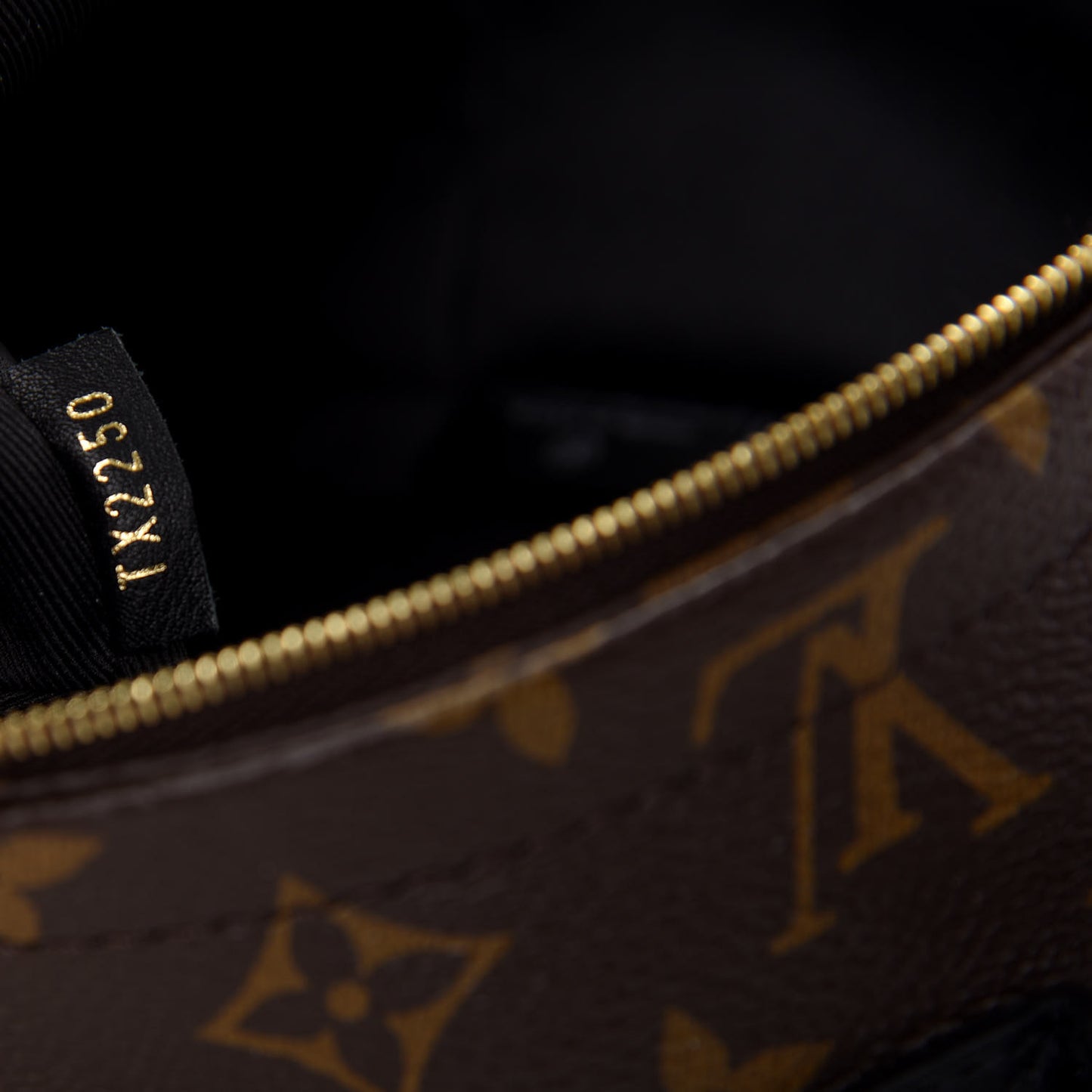 Monogram Palm Springs Backpack Mini