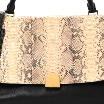 Celine Snakeskin Suede Trapeze Brown 7 of 12