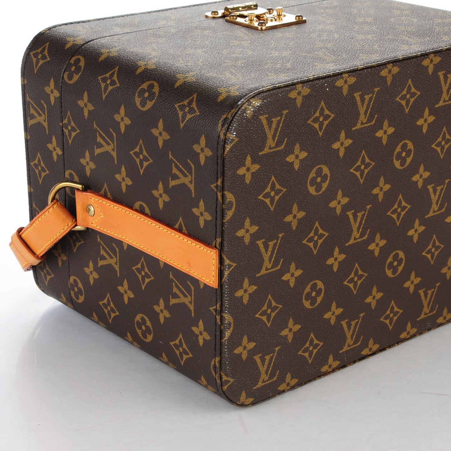 Monogram Beauty Train Case