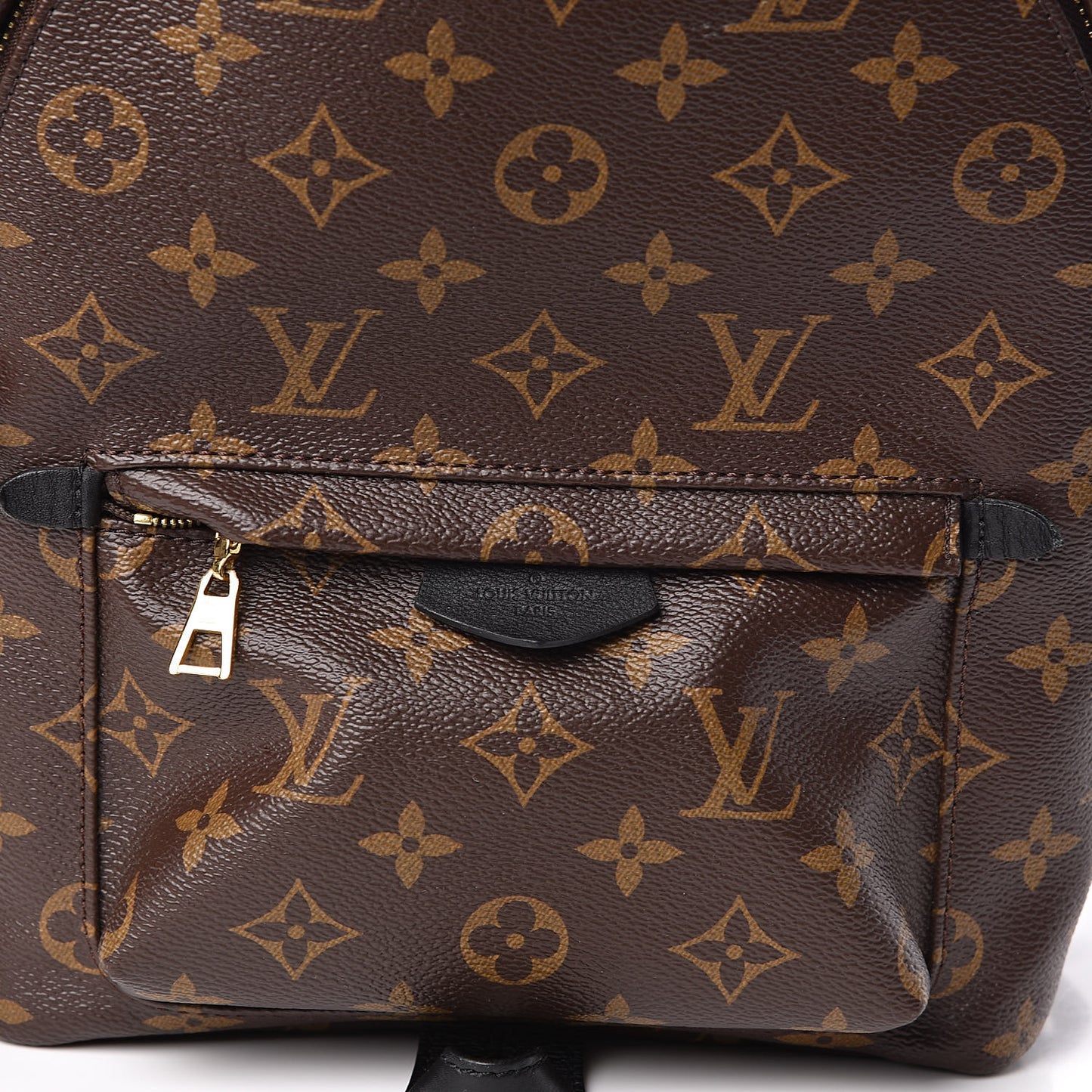 Monogram Palm Springs Backpack PM