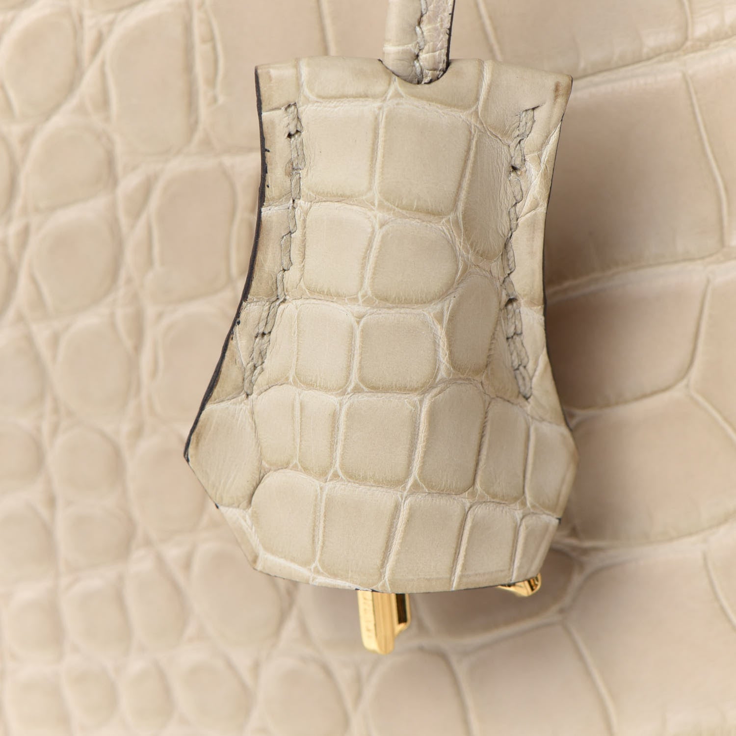 Hermes Matte Alligator Birkin 25 Trench 31 of 34
