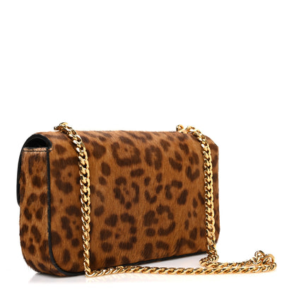 Celine Pony Hair Leopard Print Triomphe Chain Shoulder Bag Multicolor 3 of 10