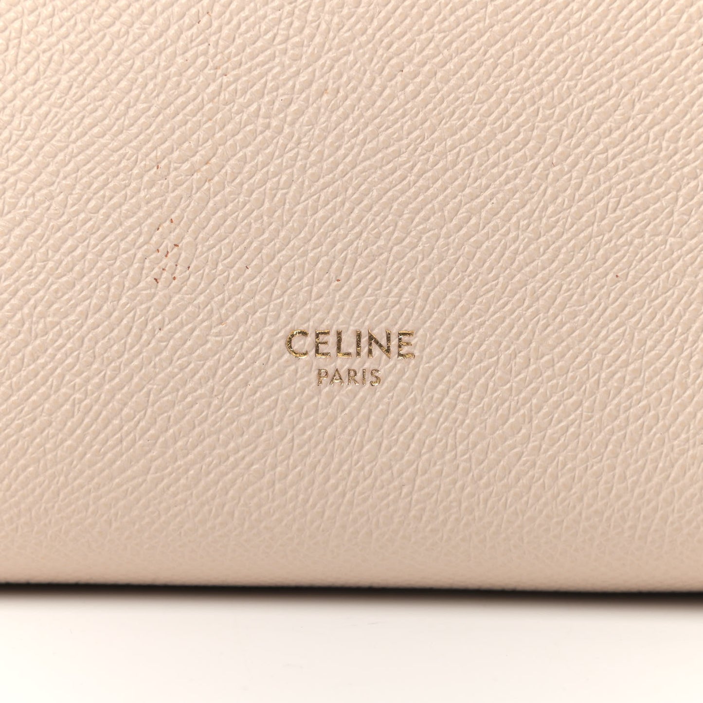 Grained Calfskin Nano Belt Bag Powder