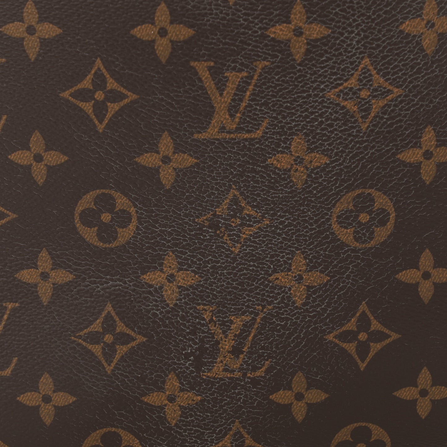 Monogram Delightful PM