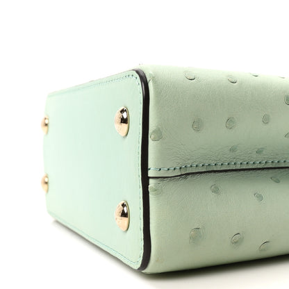 Louis Vuitton Ostrich Capucines Mini Vert Celadon 9 of 10