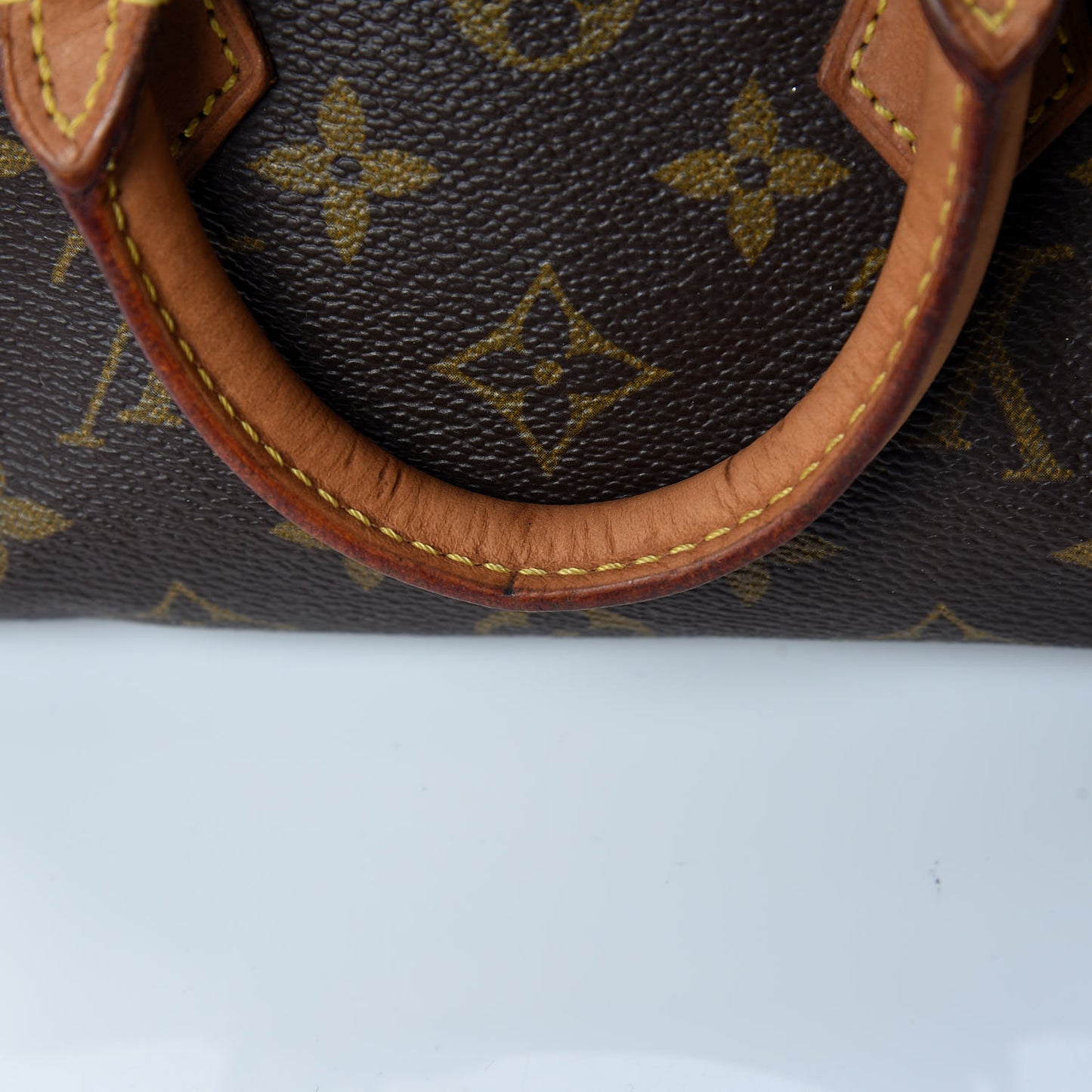 Monogram Mini Sac HL Speedy