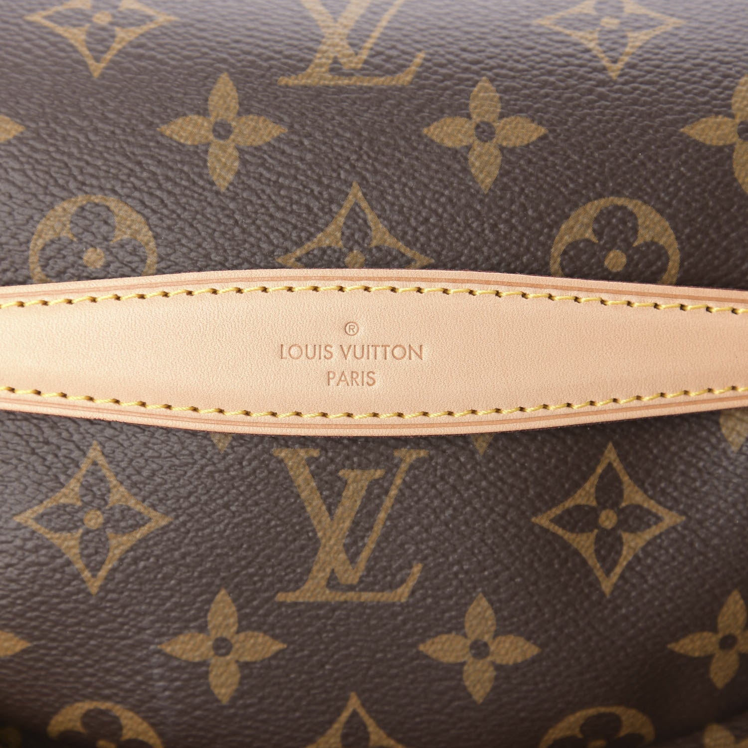 Louis Vuitton Monogram Bumbag 9 of 10