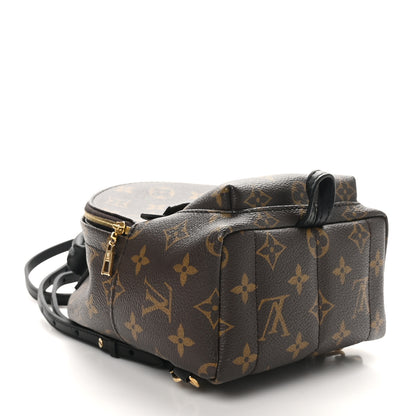 Louis Vuitton Monogram Palm Springs Backpack Mini 4 of 11