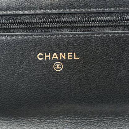 Chanel Lambskin Quilted Chanel 19 Wallet On Chain WOC Black 6 of 13