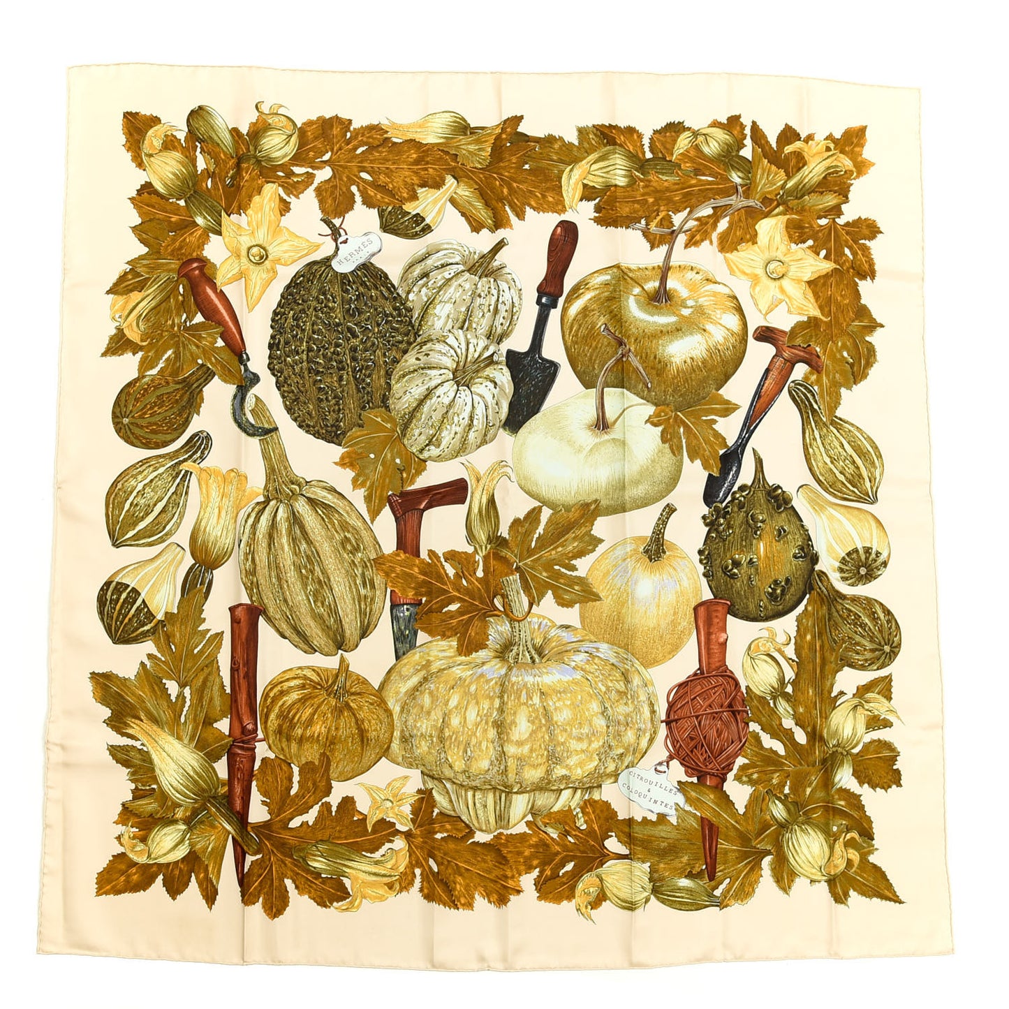 Silk Citrouilles et Coloquintes Scarf 90