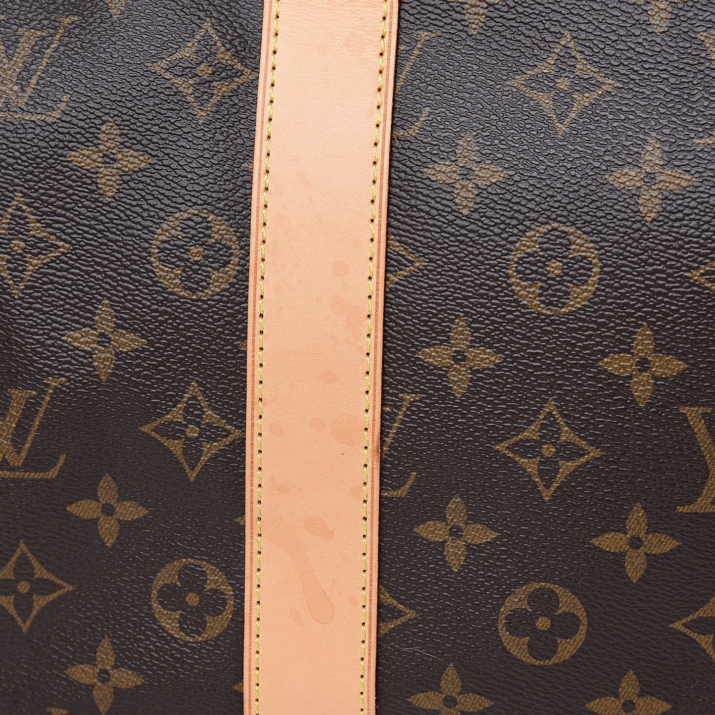 Monogram Carryall
