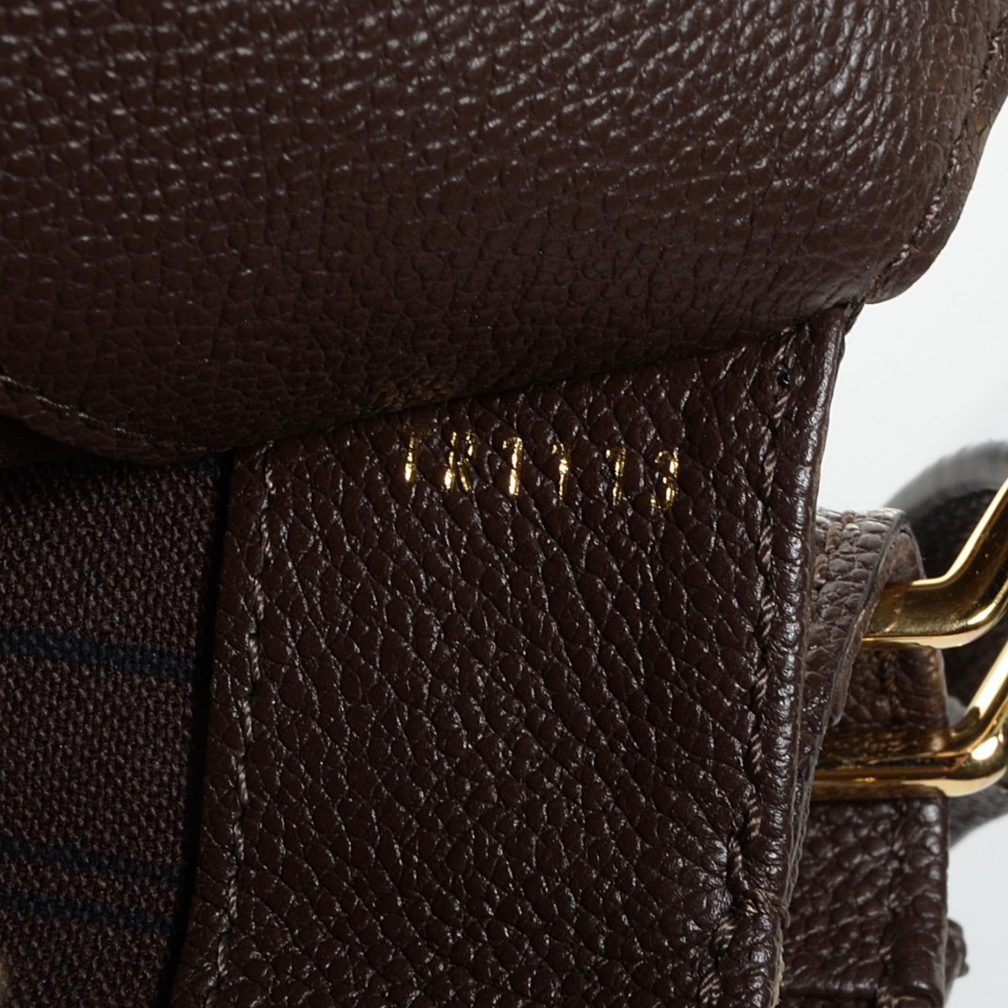 Empreinte Fascinante Terre