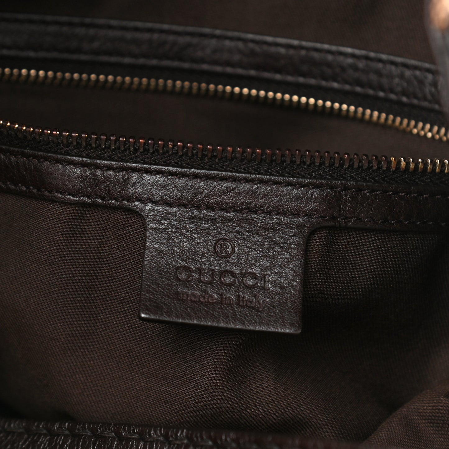 Monogram Charlotte Medium Hobo Brown