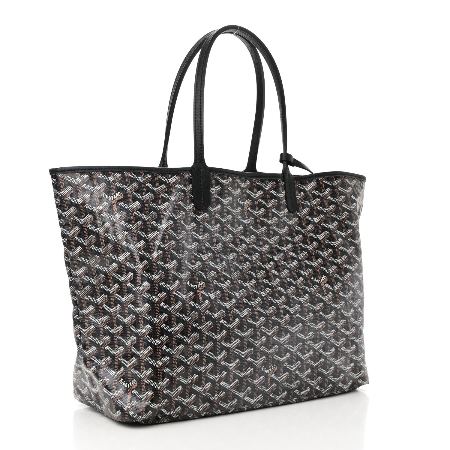 Goyard Goyardine Saint Louis PM Black 4 of 11