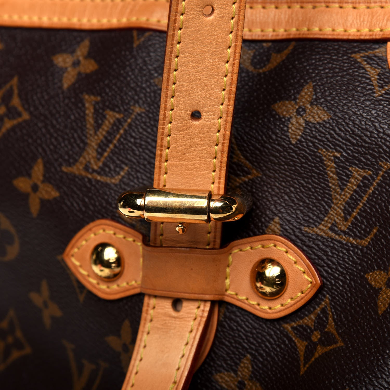 Louis Vuitton Monogram Palermo GM 19 of 22
