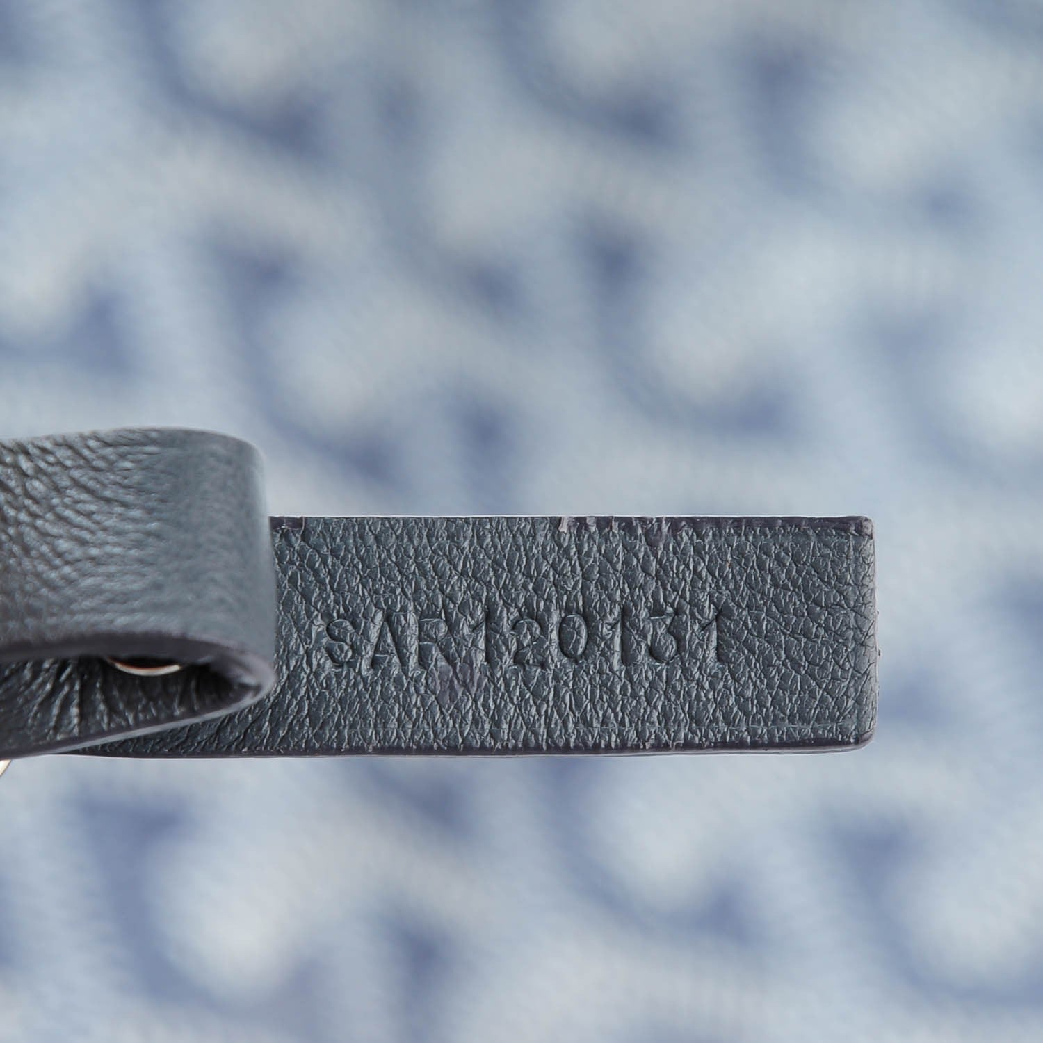 Goyard Goyardine Saint Louis PM Grey 7 of 9