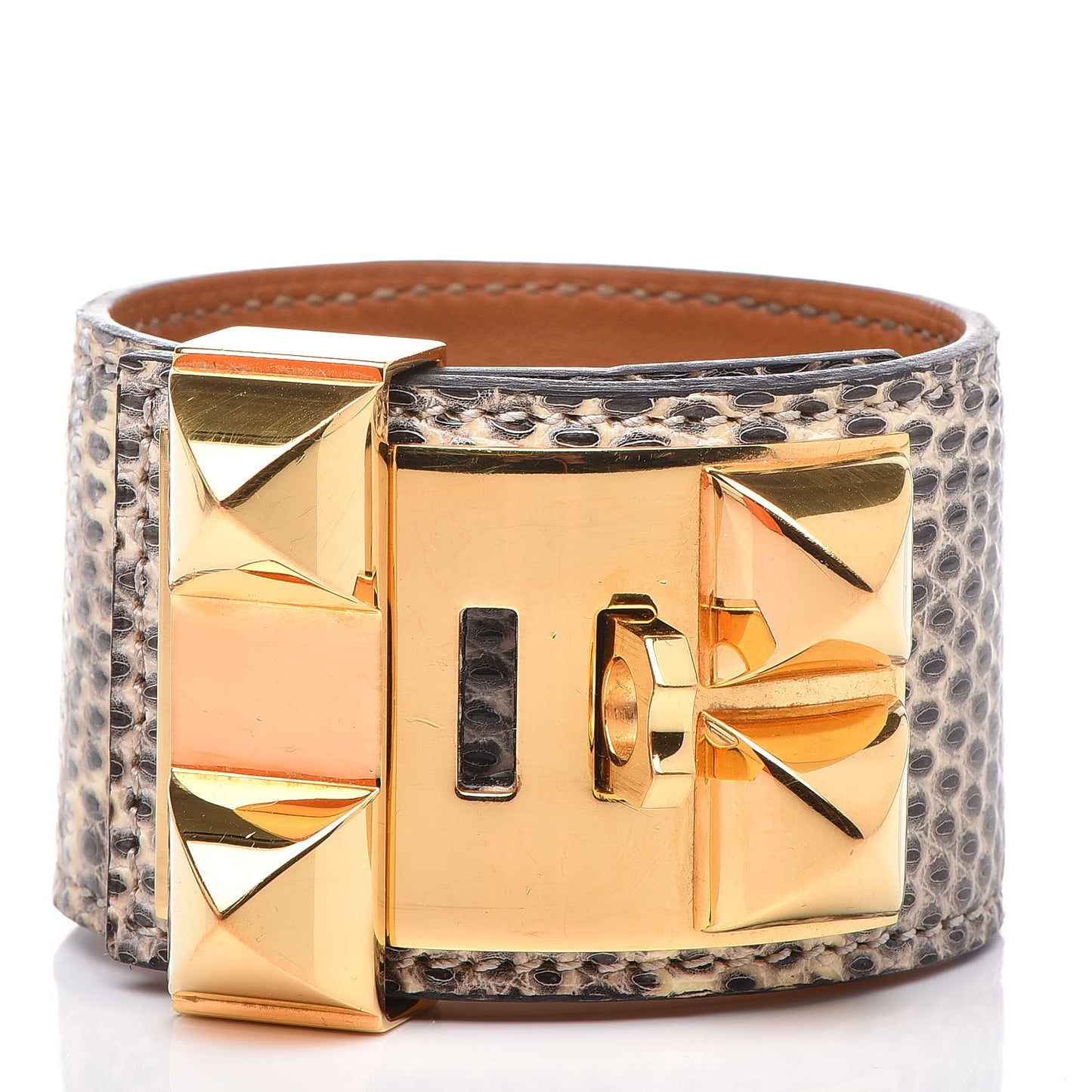 Lizard Collier De Chien CDC Bracelet T2 Ombre