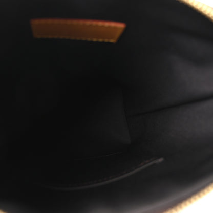 Louis Vuitton Monogram Blurry Hobo Cruiser PM 5 of 9