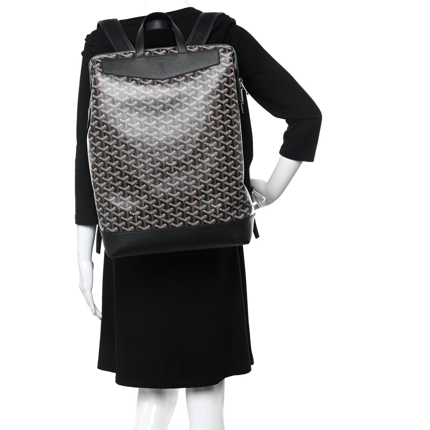 Goyard Goyardine Calfskin Cisalpin MM Backpack Black 2 of 10