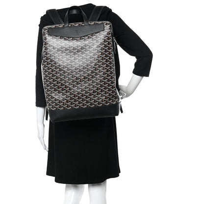 Goyard Goyardine Calfskin Cisalpin MM Backpack Black 2 of 10