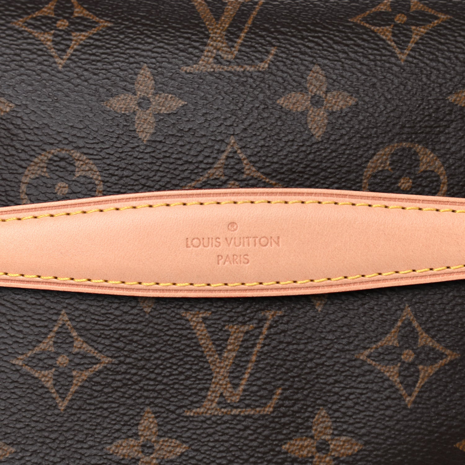 Louis Vuitton Monogram Bumbag 6 of 6