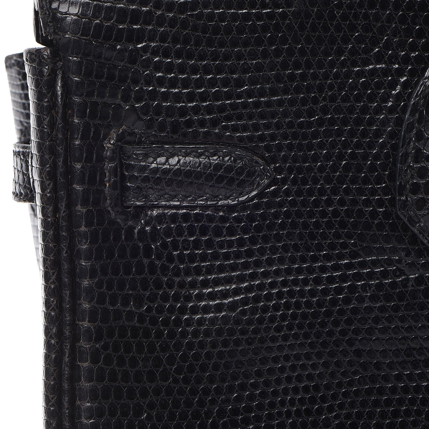 Hermes Lizard Birkin 25 Black 15 of 50