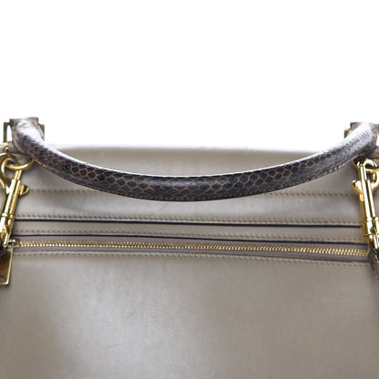 Celine Calfskin Suede Whipsnake Medium Trapeze Taupe 14 of 22